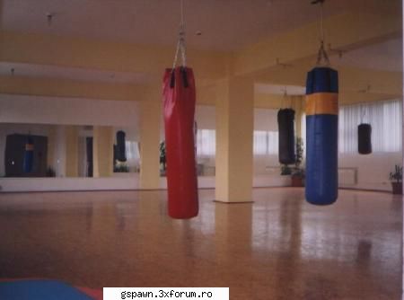 sali de fortza adresee telefoanee ....trarifee ...etcc - Mihai - Sali de culturism, fitness