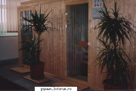 sauna sali de fortza adresee telefoanee ...etcc